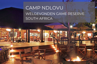 Camp Ndlovu