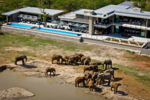 Jamala Madikwe Main Building pools Nov 23