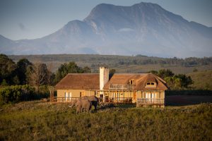 Kwena Lodge Villa Vista-DSC_9378