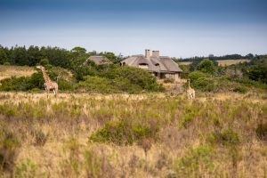 Lehele Lodge Villa Exterior_1