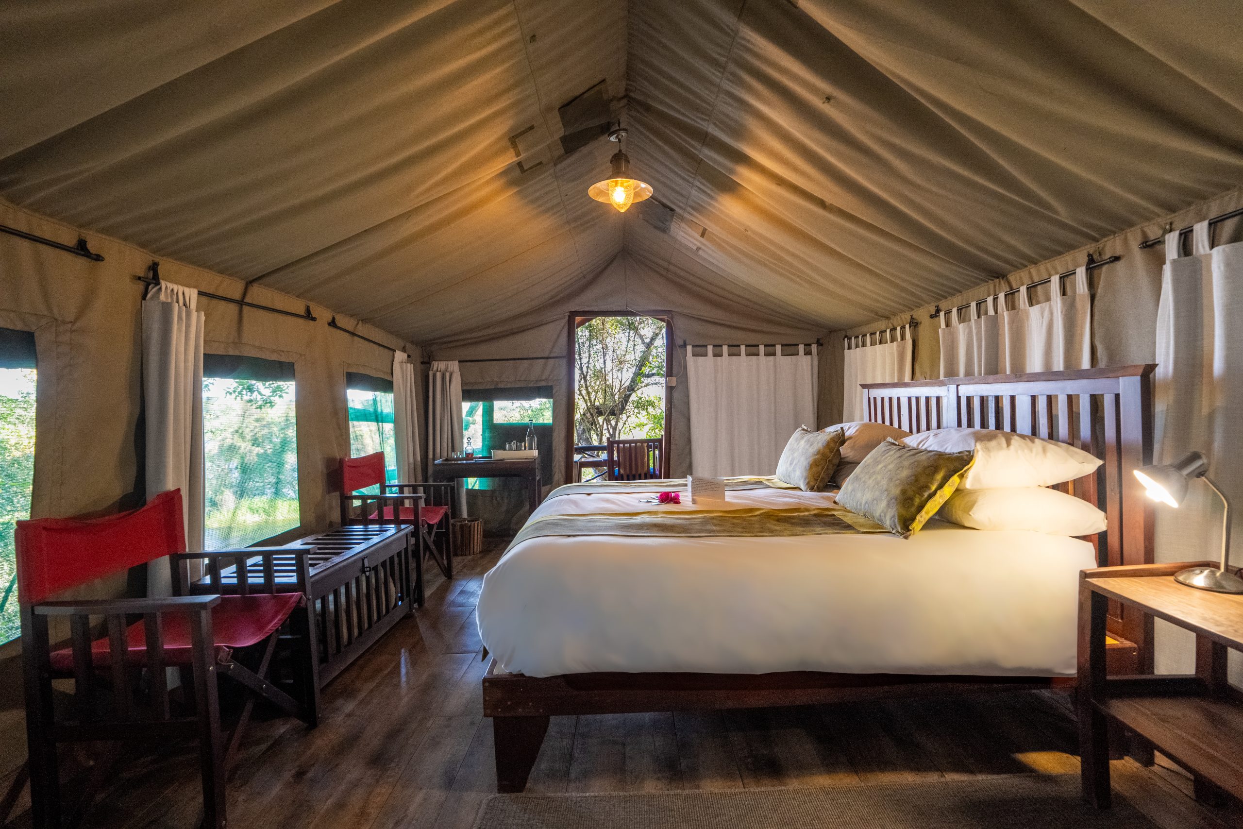 ZQC_Ichingo_Tent Interior_752